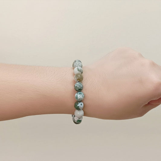 Glossy Tree Agate Bracelet